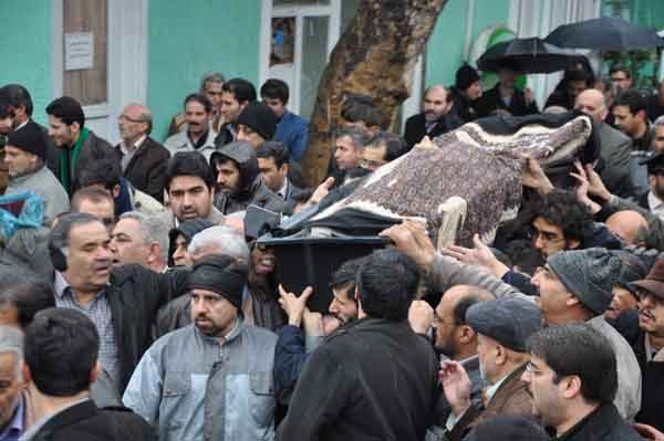 afshari  015